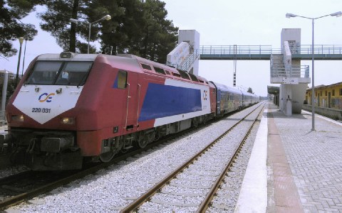 newego LARGE t 1101 53643850 type12128