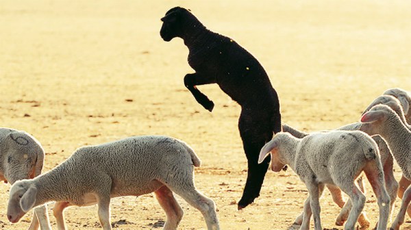 20131107 vimatizontas